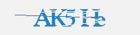 보안문자